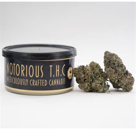 Notorious THC Craft